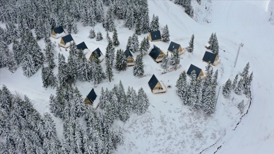 Ordu'da yaylaların cazibesi bungalovlarla artırılıyor