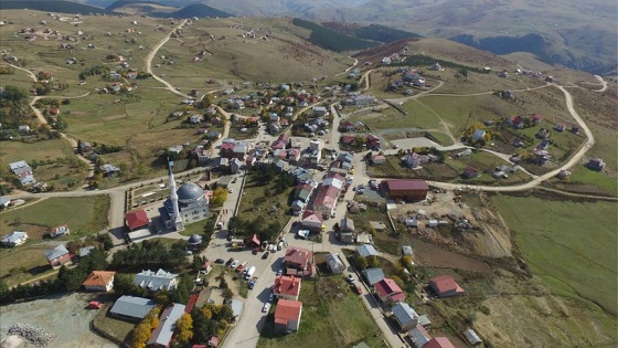 Ordu'nun 'misafir odası' Çambaşı Yaylasındaki yapılar iyileştiriliyor