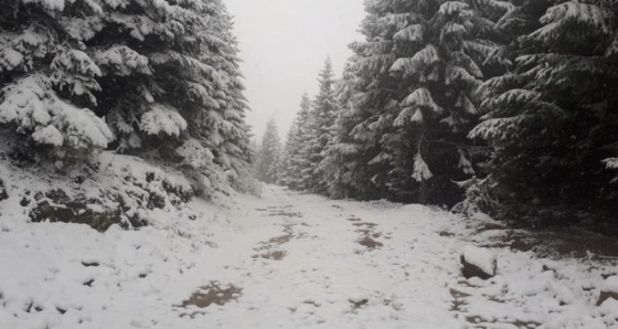 Ordu’nun yükseklerinde kar etkisini gösteriyor