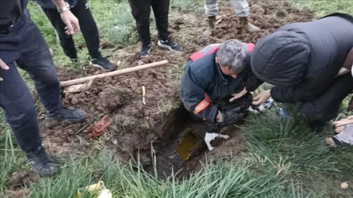 Ordu'da yağmur suyu borusunda mahsur kalan kedi kurtarıldı