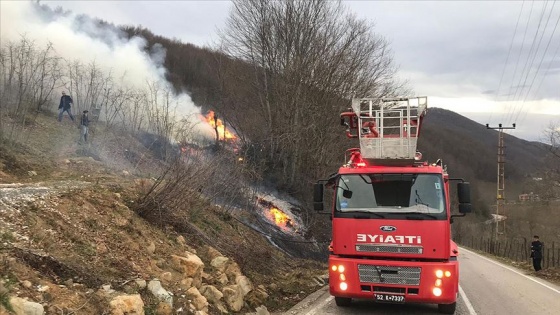 Orman Genel Müdürlüğü: 58 orman yangınından 45'i kontrol altında