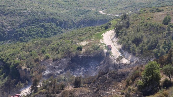 Ormanlar Suriye'deki 'ateşten' korunuyor