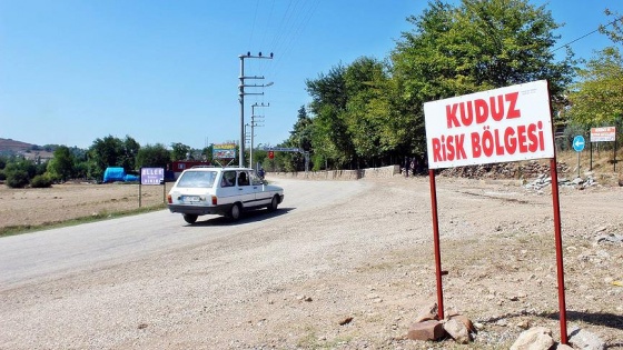 'Osmaniye'de 104 kişi kuduz vakası kapsamında tedavi altında'