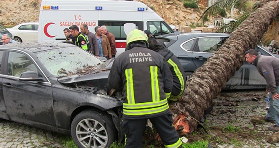 Otomobilin devirdiği ağaç başka bir otomobili hurdaya çevirdi