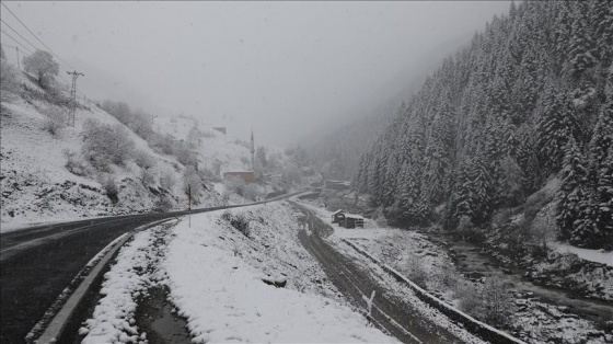 Ovit Dağı geçidi ulaşıma kapatıldı