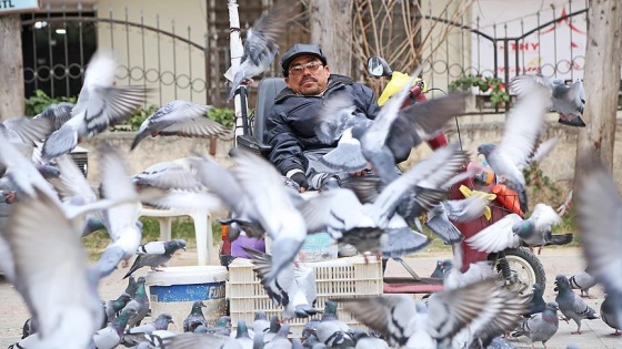 Özenle beslediği güvercinler ekmek kapısı oldu