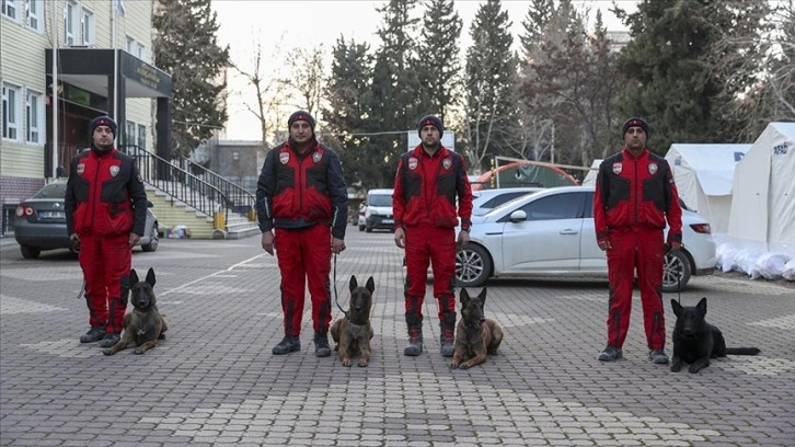 PAK bünyesindeki 4 arama kurtarma köpeği 74 kişinin kurtarılmasını sağladı