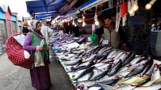 Palamutta 'altın' sezon