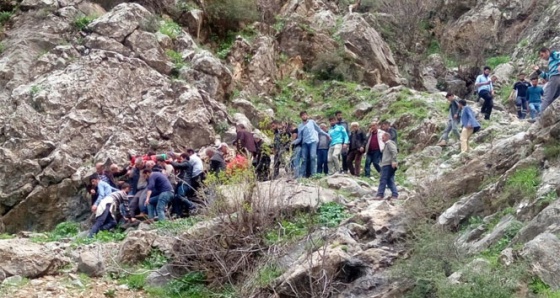 Pancar toplarken uçuruma yuvarlandı