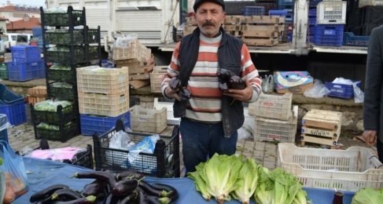 Patlıcanın fiyatı cep yakıyor