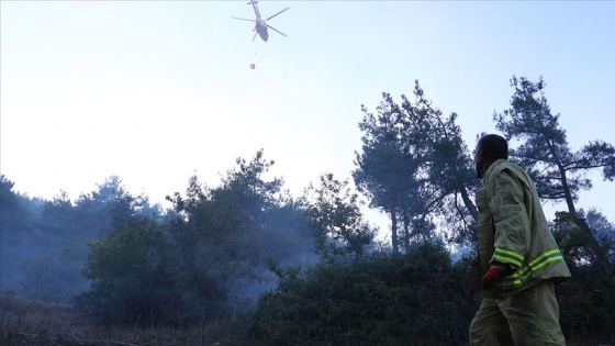 Pendik'deki orman yangını şüphelisi mahkemeye sevk edildi