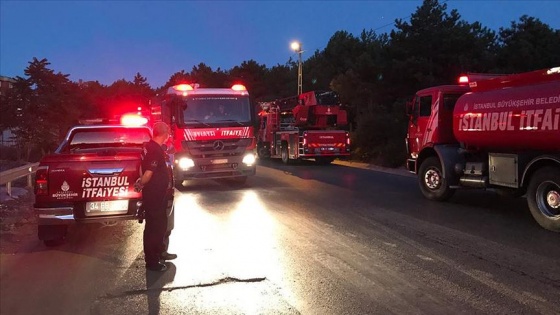 Pendik’te ormanlık alanda yangın