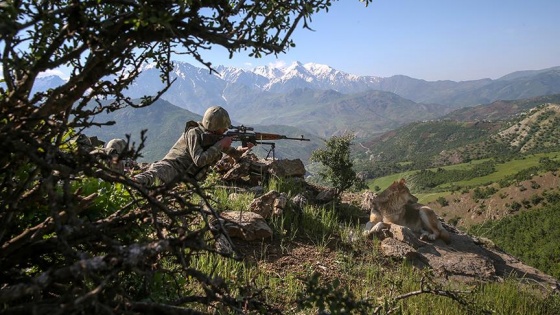 'PKK çözülme sürecine girdi'