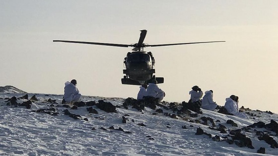 PKK'nın sözde 'bölge sorumlusu' etkisiz hale getirildi