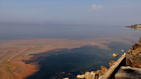 Planktonların çoğalmasıyla deniz kıyısı renklendi