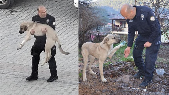 Adana'lı polisin kucağında taşıdığı yaralı köpek iyileşiyor