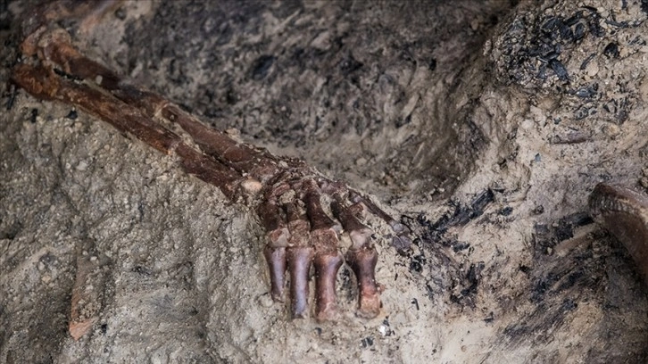 Pompei'deki kazılarda Vezüv'deki büyük patlamada ölen 2 kişiye ait kalıntılar bulundu