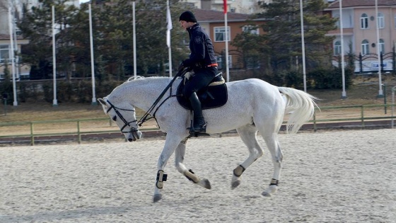 Pony atlar, ilk kez yarışmak için maneje çıkıyor