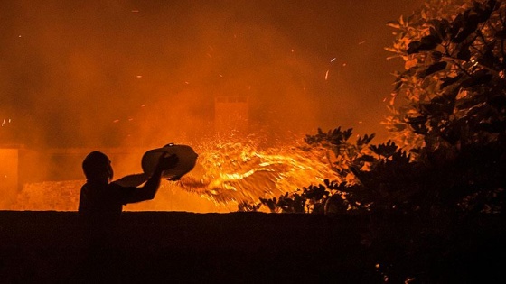 Portekiz'deki orman yangınlarında 27 kişi öldü