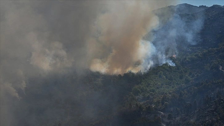 Portekiz'in Madeira adasındaki orman yangını adanın yüzde 6'sından fazlasını kül etti