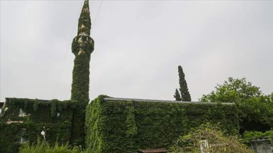 Adana sıcağında Ramazan'da serinliğin adresi: Yeşil Cami