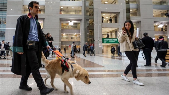 Rehber köpek 'Tabs'ten hukuk sistemine katkı