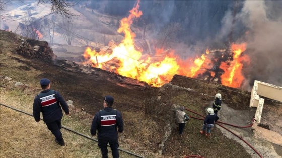 Rize'de Gölyayla köyünde çıkan yangın kontrol altına alındı