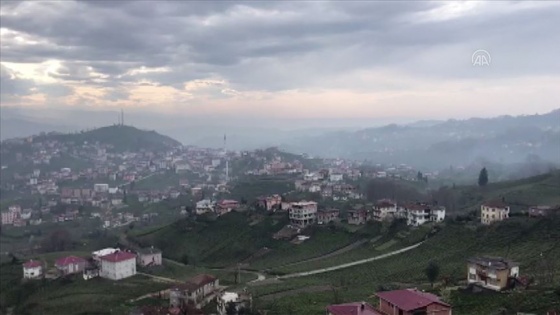 Rize'de Kendirli beldesi ile 4 köy karantina altına alındı