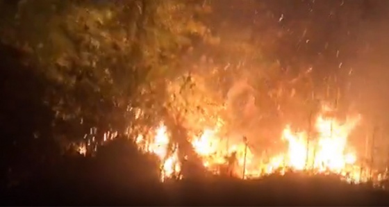 Rize'deki orman yangını güçlükle söndürüldü