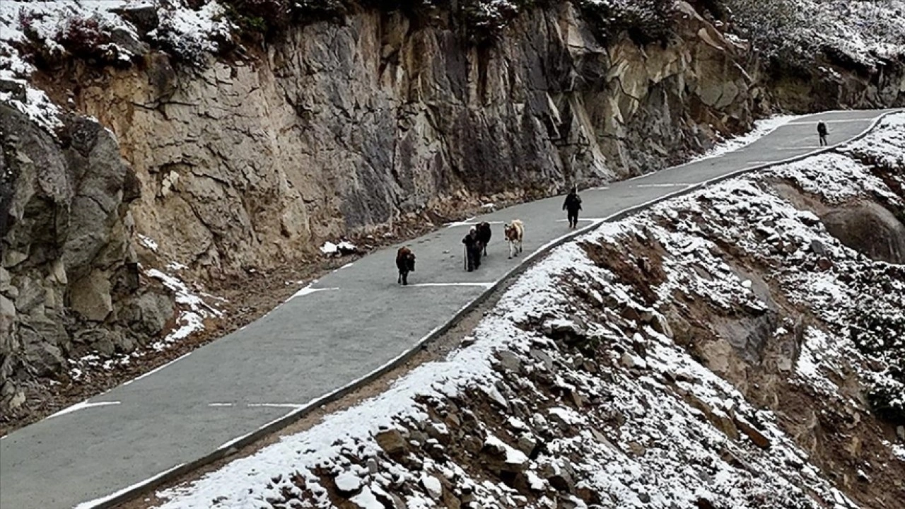 Rize'de yaylacıların köye dönüş yolculuğu devam ediyor