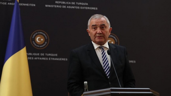 Romanya Dışişleri Bakanı ndan Türk halkına destek