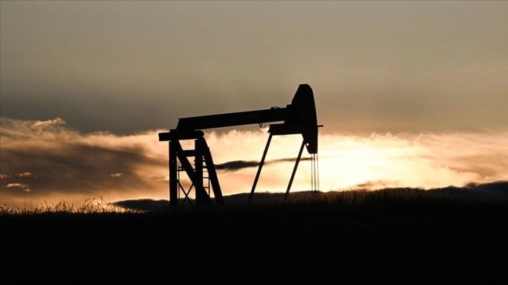 Rusya Başbakan Yardımcısı Novak, mevcut petrol fiyatının beklentiyi karşıladığını bildirdi
