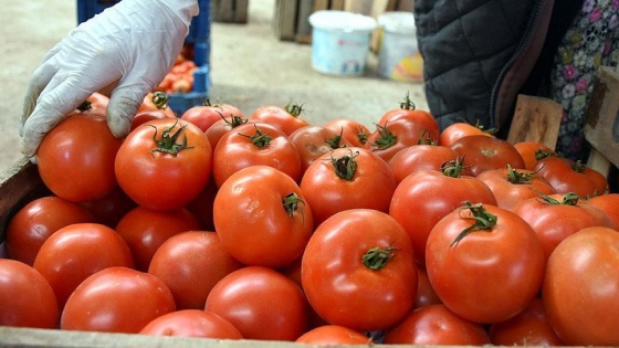 Rusya'dan 4 şirkete daha domates ithalatı izni