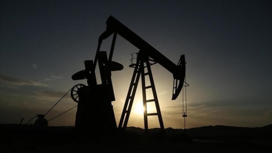 Rusya'dan 'mevcut OPEC kesintilerini bir ay daha uzatmak mantıksız' açıklaması