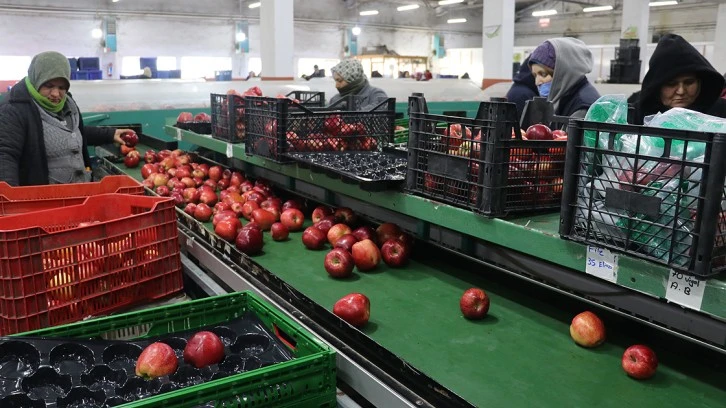 Rusya, Türkiye'den elma ithalatını artırdı