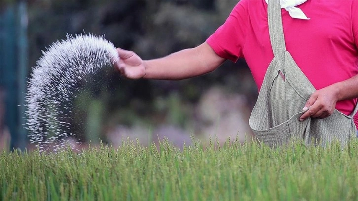 Rusya'da gübre üreticilerine ihracatı durdurmaları tavsiyesi