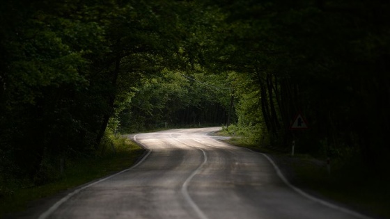 Safranbolu'nun ağaç tünelli yolu 'yolcularını' bekliyor