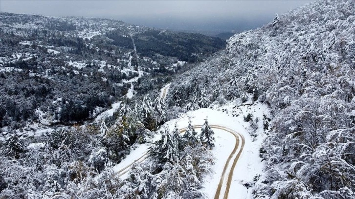 Safranbolu Sarıçiçek Yaylası karla kaplandı