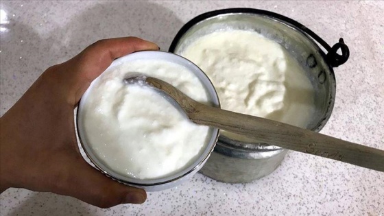 Sağlıklı bir bağışıklık sistemi için 'kefir ve kefirli yoğurt tüketin' tavsiyesi