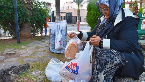 Sahipsiz hayvanları 30 yıldır besliyor