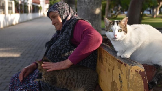 Sahipsiz kedilerin Fadime annesi