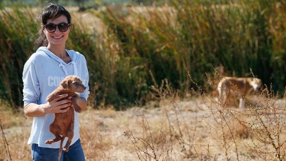 Sahipsiz köpeklerin kurtarıcısı oldu