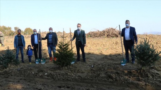 Sakarya'da 'Anadolu Ajansı 100. Yıl Hatıra Ormanı' oluşturuldu