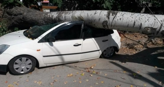 Sakarya’da faciadan dönüldü!