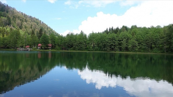 'Saklı cennet' Artvin eşsiz doğasıyla ziyaretçilerini bekliyor