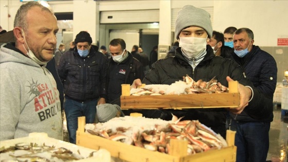 Samsun'da balık halinde yasak öncesi son mezatta hamsi yoğun ilgi gördü