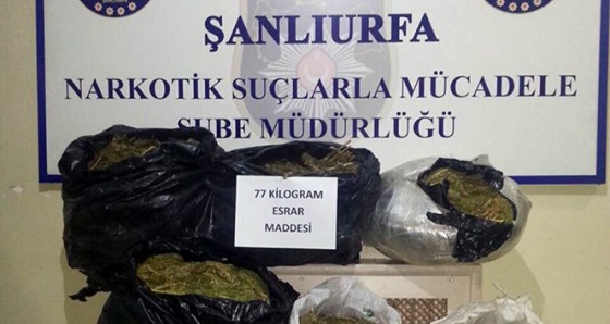 Şanlıurfa’da 77 kilo esrar ele geçirildi