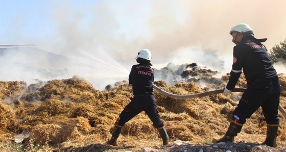 Şanlıurfa'da çıkan yangında tonlarca saman kül oldu