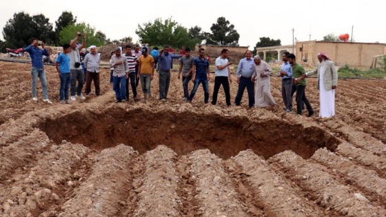 Şanlıurfa'da pamuk tarlasında obruk oluştu