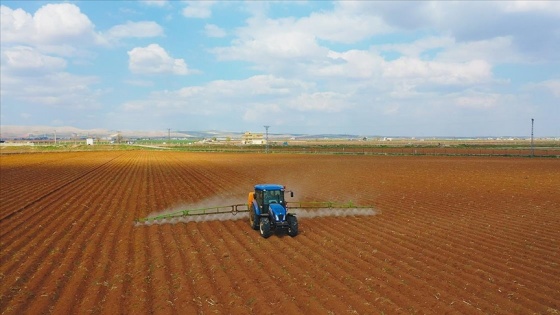 Şanlıurfa'da pamuk tohumları toprakla buluşuyor